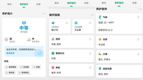 梁文锋的师兄,80后浙大学霸靠教老外认花,躺赚10亿